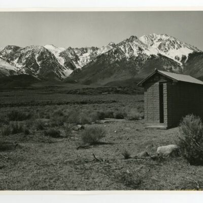 Print, Photographic