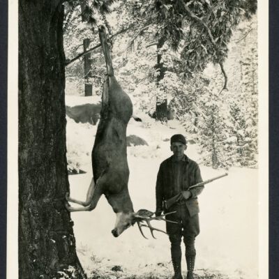 Print, Photographic