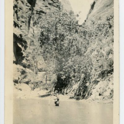 Print, Photographic