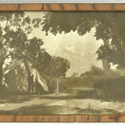 Print, Photographic
