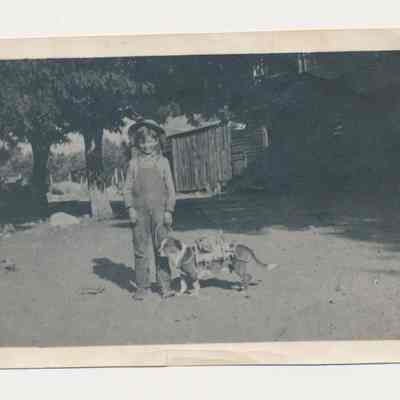 Print, Photographic