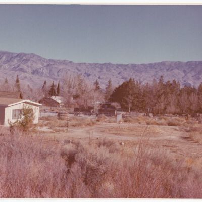 Print, Photographic