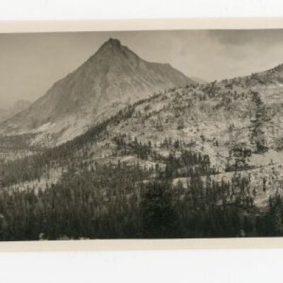 Print, Photographic