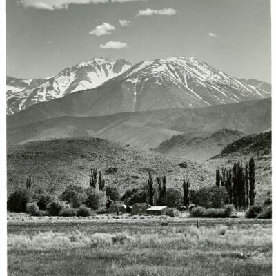 Print, Photographic