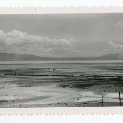 Print, Photographic