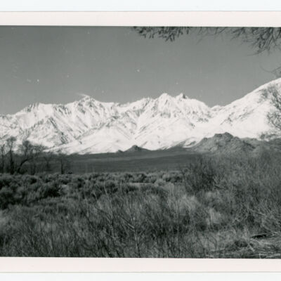 Print, Photographic