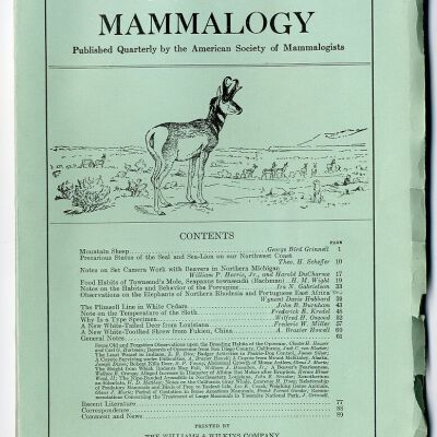 Journal of Mammalogy, Vol. 9, No. 1, February 1928