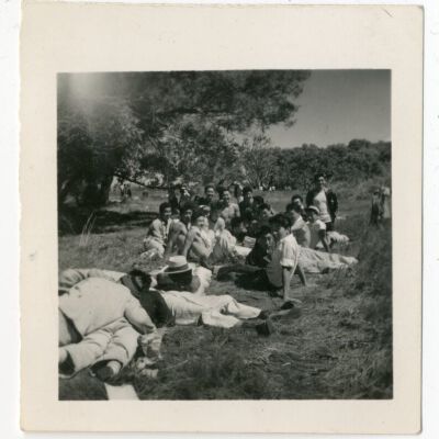 Print, Photographic