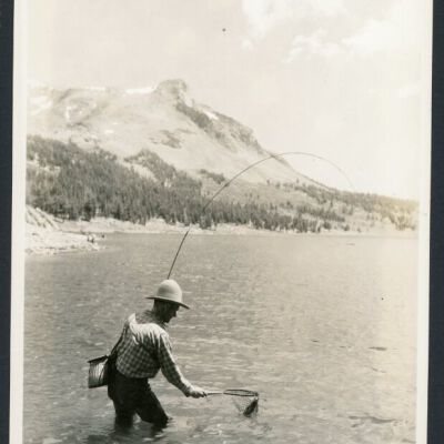 Print, Photographic