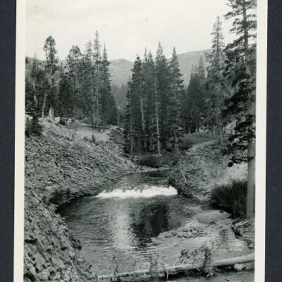 Print, Photographic