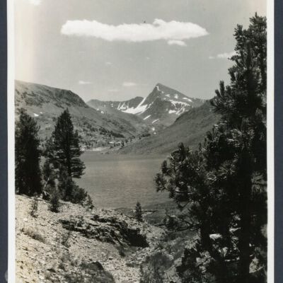 Print, Photographic