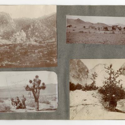 Print, Photographic