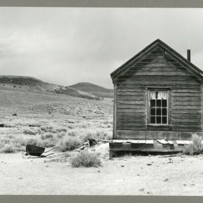 Print, Photographic