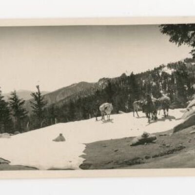 Print, Photographic