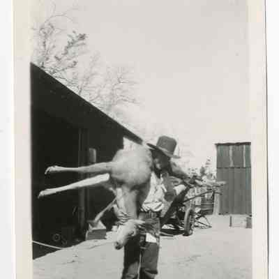 Print, Photographic