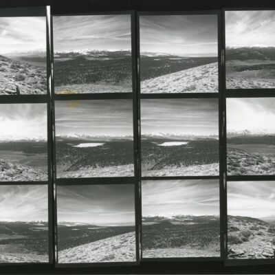 Print, Photographic