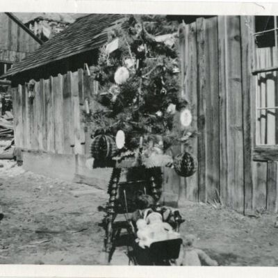 Print, Photographic
