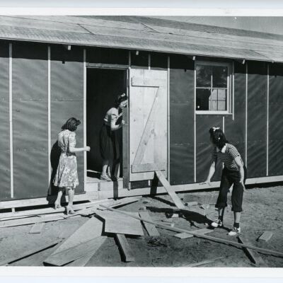 Print, Photographic