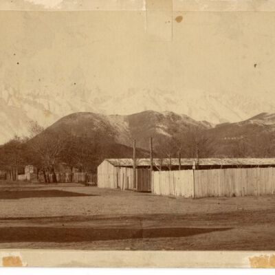 Print, Photographic