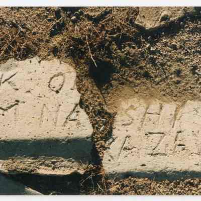 Print, Photographic