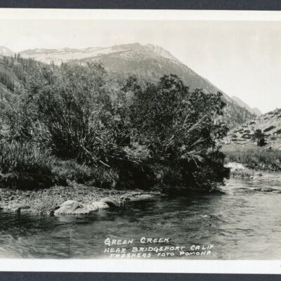 Print, Photographic