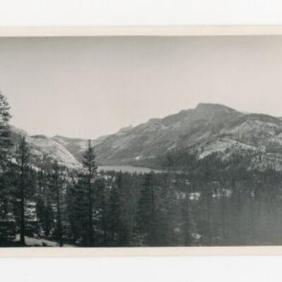 Print, Photographic