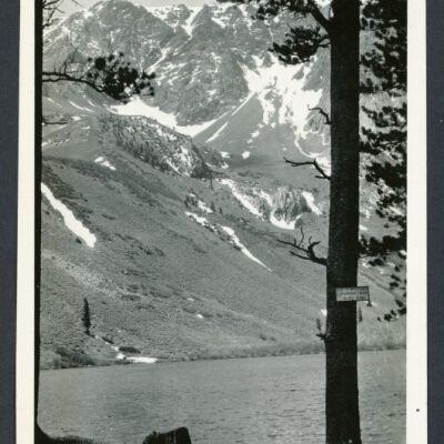 Print, Photographic
