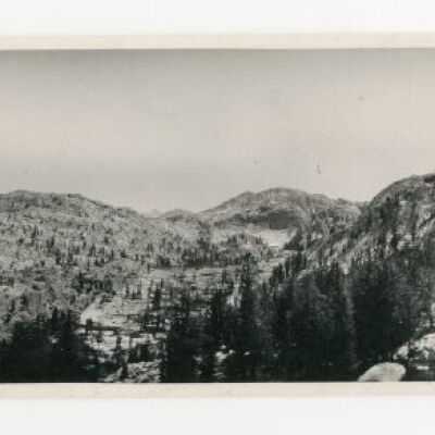 Print, Photographic