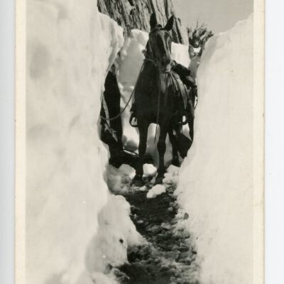 Print, Photographic