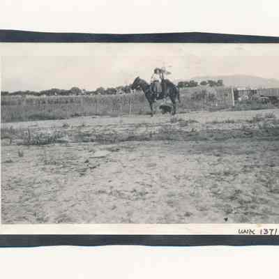 Print, Photographic