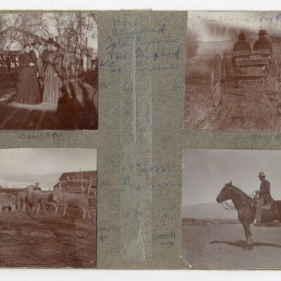 Print, Photographic