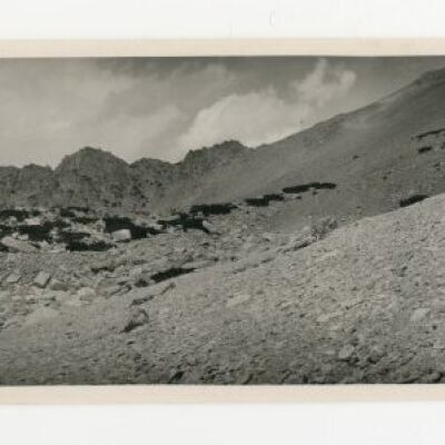 Print, Photographic