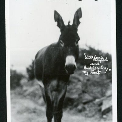 Print, Photographic