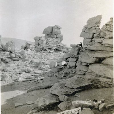 Print, Photographic