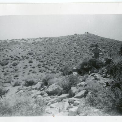 Print, Photographic
