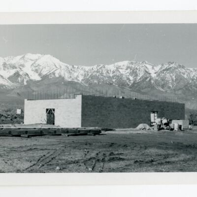 Print, Photographic