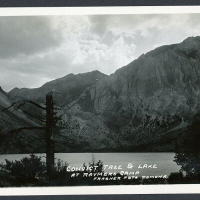 Print, Photographic