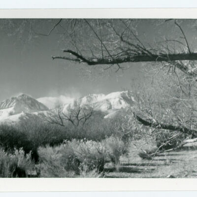 Print, Photographic