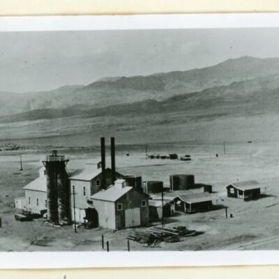Print, Photographic
