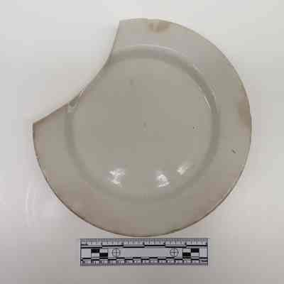 Plate