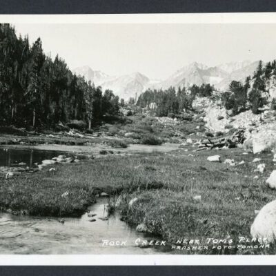 Print, Photographic