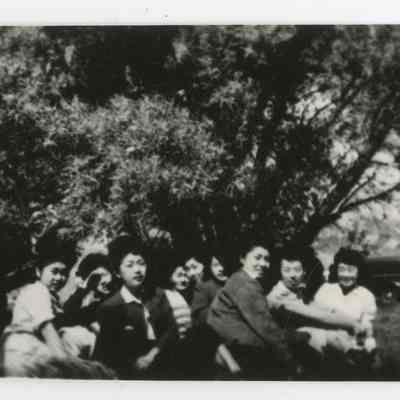 Print, Photographic