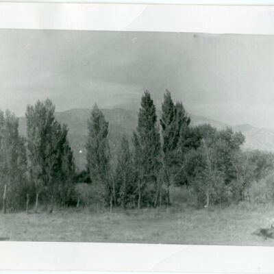 Print, Photographic