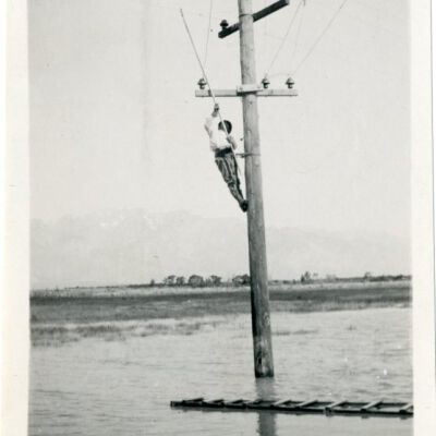 Print, Photographic