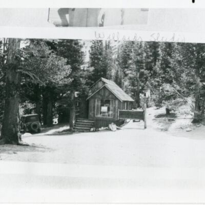 Print, Photographic