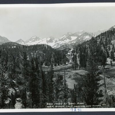 Print, Photographic