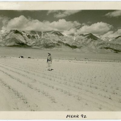 Print, Photographic