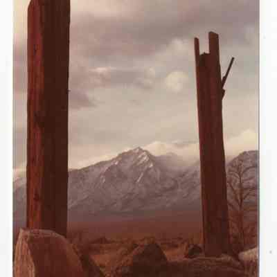 Print, Photographic