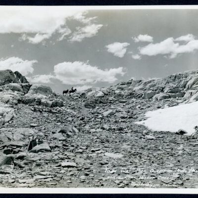 Print, Photographic