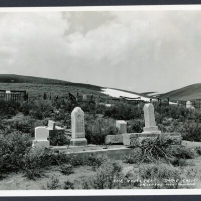 Print, Photographic